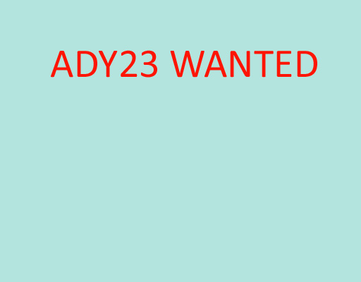 STC ADY23 wanted